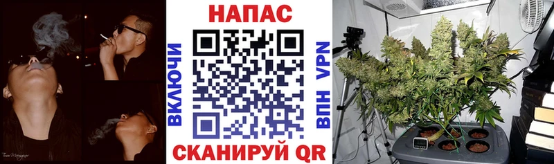 Каннабис планчик Печора